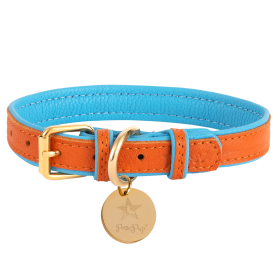 Dog Collar (color: Vibrant Sunset, size: medium)