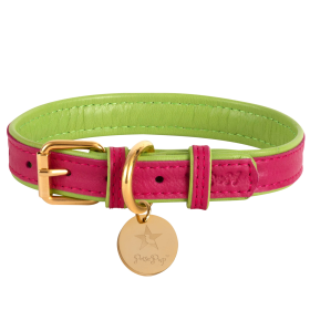 Dog Collar (color: Candy Swirl, size: large)