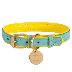 Dog Collar (color: Sunshine Babe, size: small)