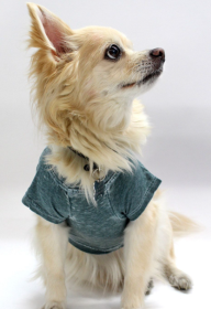 Doggy Tee (color: Hunter, size: large)